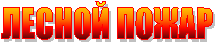 ЛЕСНОЙ ПОЖАР