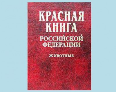 Нижегородская межрайонная природоохранная прокуратура разъясняет