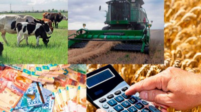 Итоги и перспективы реализации областного Закона «О мерах по развитию кадрового потенциала сельскохозяйственного производства Нижегородской области»